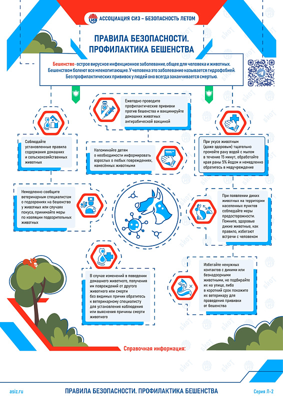 Правила безопасности. Профилактика бешенства.